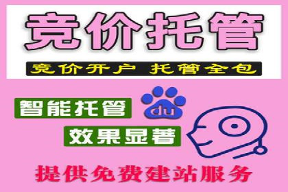 搜索开户返点案例分析：如何赚取丰厚回报